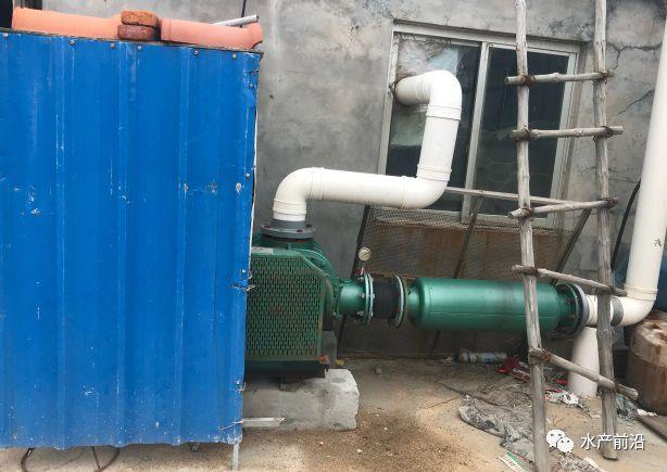 出蝦27斤/立方，連續(xù)三造成功后，工廠化養(yǎng)蝦在他看來并不難！